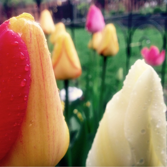 Meet your Posher, Sarah - Picture 3 of 3